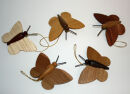 Schmetterlinge natur Baumbehang  Set mit 5 St&uuml;ck
